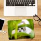 Cat Rectangle Mouse Pad