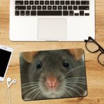 Real Mouse Rectangle Mouse Pad 1